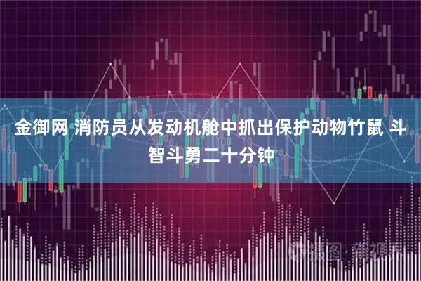 金御网 消防员从发动机舱中抓出保护动物竹鼠 斗智斗勇二十分钟