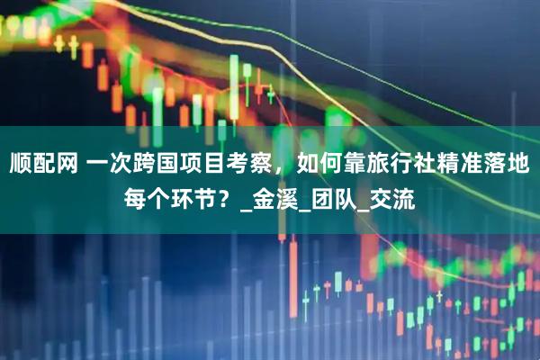 顺配网 一次跨国项目考察，如何靠旅行社精准落地每个环节？_金溪_团队_交流