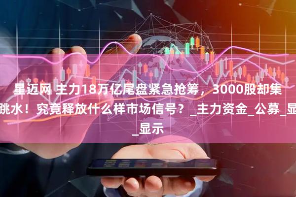 星迈网 主力18万亿尾盘紧急抢筹，3000股却集体跳水！究竟释放什么样市场信号？_主力资金_公募_显示