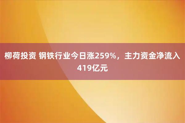 柳荷投资 钢铁行业今日涨259%，主力资金净流入419亿元