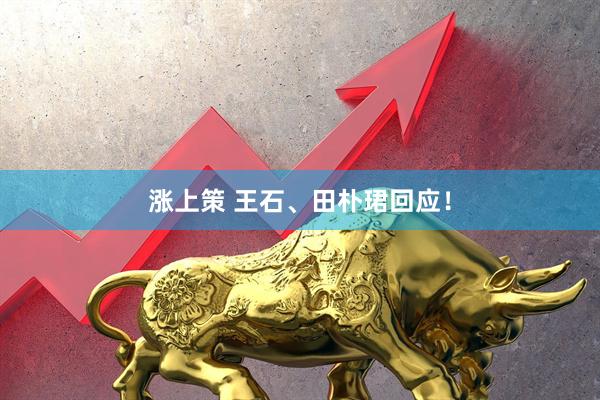 涨上策 王石、田朴珺回应！