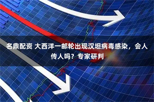 名鼎配资 大西洋一邮轮出现汉坦病毒感染，会人传人吗？专家研判