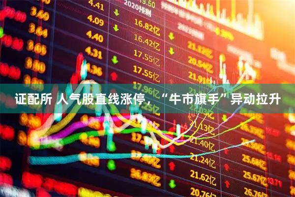 证配所 人气股直线涨停，“牛市旗手”异动拉升